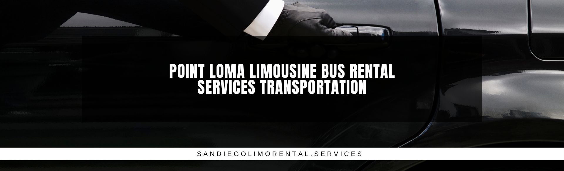 Point Loma Limousine Bus Rental Services Transportation