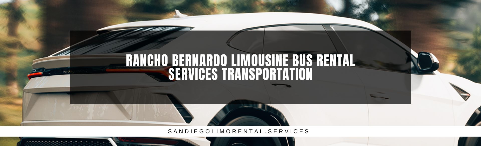 Rancho Bernardo Limousine Bus Rental Services Transportation